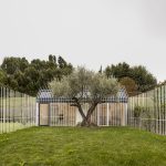 Casa para u hombre y árbol