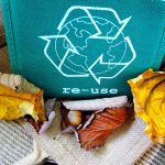 10 principios de la arquitectura eco-friendly recycle-57136_960_720