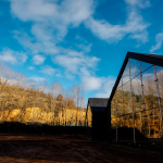 245_Fundacion-Cerezales_06