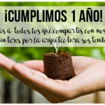 1 año