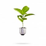 6 razones para optar por una casa ecológica eco