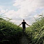 high-grass