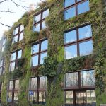 jardin vertical