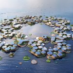 Oceanix City 1