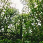 ecology