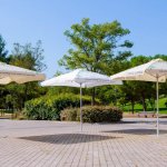 cropped-mahou-san-miguel-terrazas-sostenibles-ecologicas-1.jpg