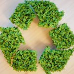 5 claves de la arquitectura circular arquitectura-circular2
