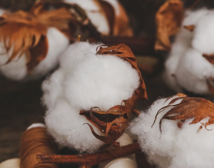 Use el mejor relleno de algodón que además es aislante