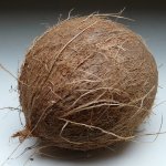 El coco como aislante termoacústico natural