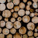 La madera: un básico en el mundo de la construcción sostenible