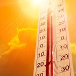 Diseño resiliente frente a las olas de calor: de la eficiencia energética a la habitabilidad en condiciones extremas Diseño resiliente